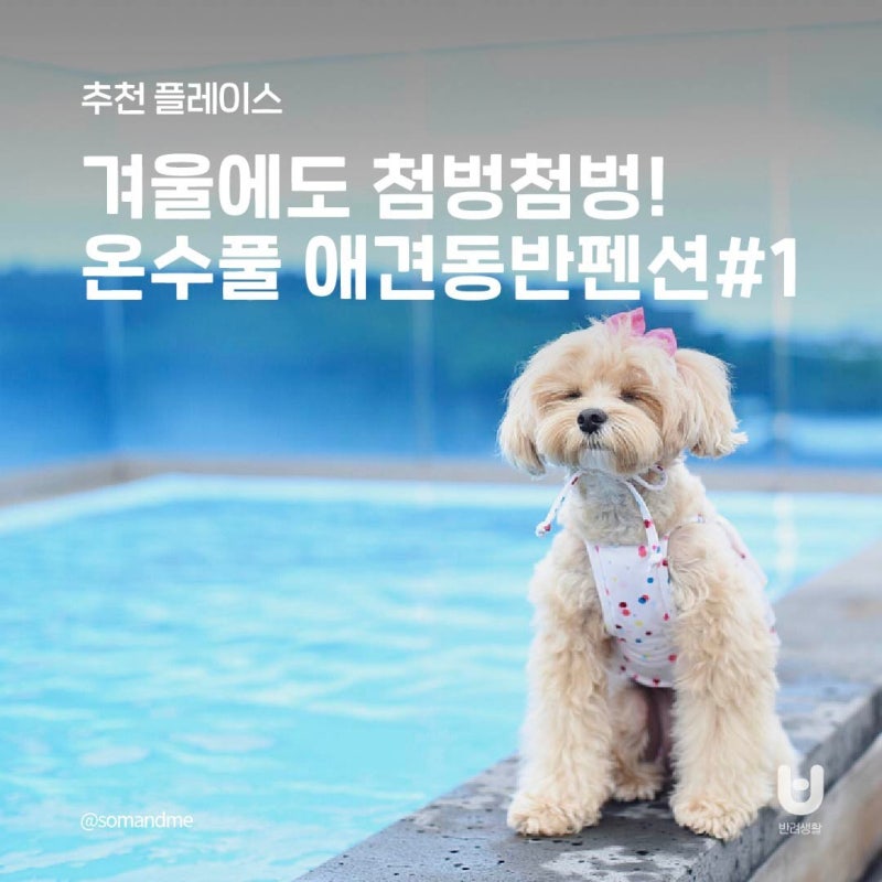 사진 3