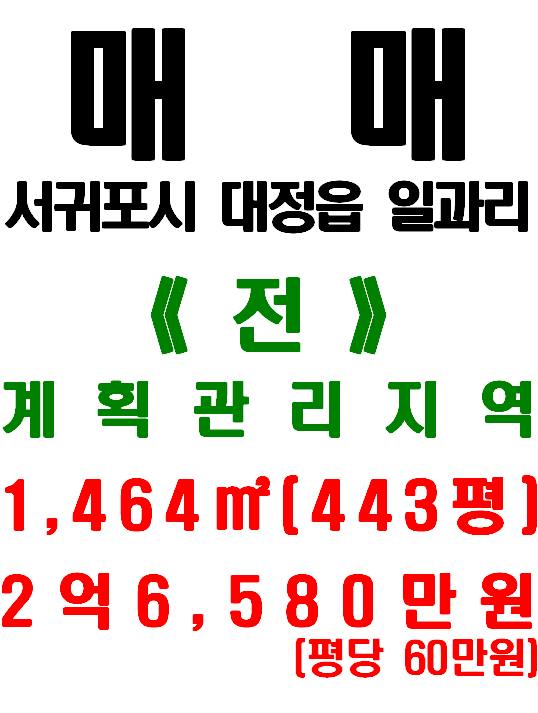  서귀포시 대정읍 일과리 일주서로 및 일과리 마을 인접한 토지 매매(매물번호 516)