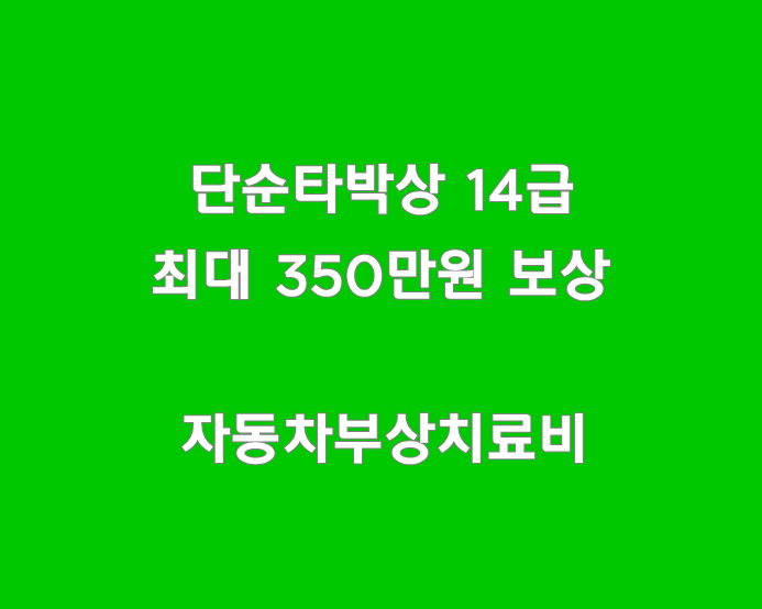  단순타박상 14급 최대 350만원 교통사고 자동차사고부상_참좋은운전자보험2008