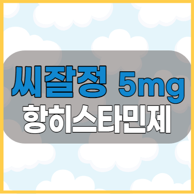  씨잘정5mg 비염 등 알러지 항히스타민제 효능과 부작용 주의사항 알아봅시다