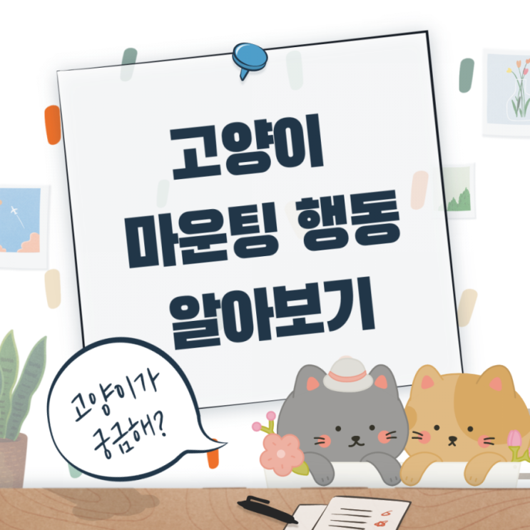  중성화한 수컷 고양이가 붕가붕가(마운팅)하는 이유