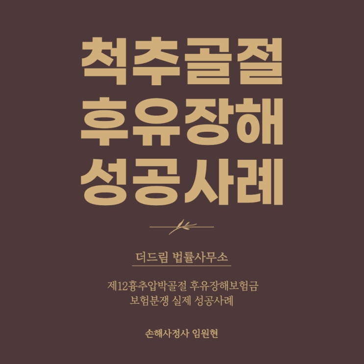  척추 압박골절 후유장해보험금 보험분쟁 실제 성공사례 - 손해사정사 임원현