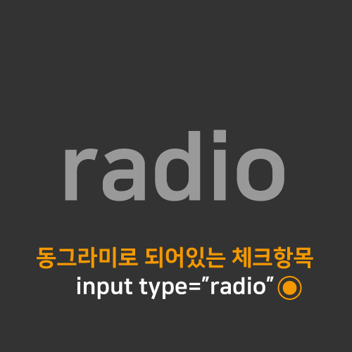 [Html/CSS] input type="radio" 동그라미 모양 버튼