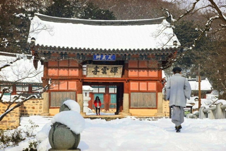 동짓날과 팥죽 동짓날과 팥죽
