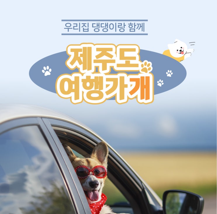  제주여행 우리집 강아지 반려견. 댕댕이랑 함께 - 에어카텔 (with 한진관광)