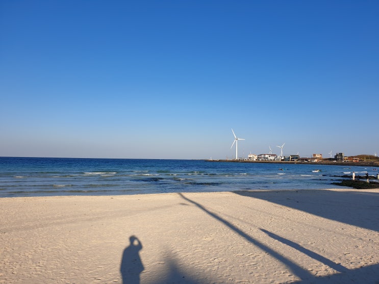 제주 바램 목장 카페 (BAALAMB)