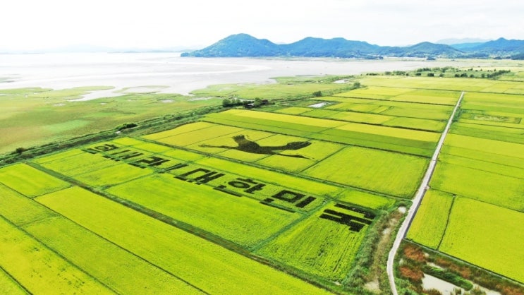 2021년 동아시아문화도시에 ‘순천시’ 선정