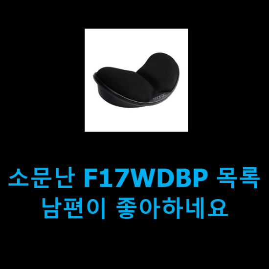  소문난 F17WDBP 목록 남편이 좋아하네요