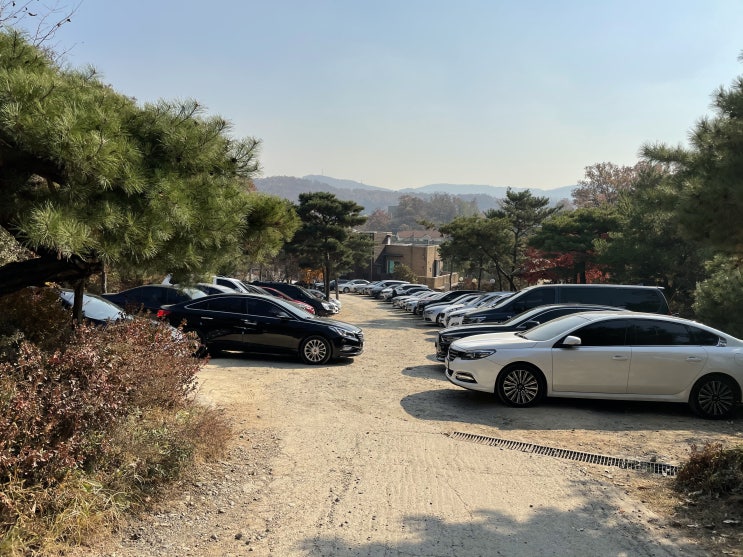  분당 서현 산속 카페 55도 커피로스터스