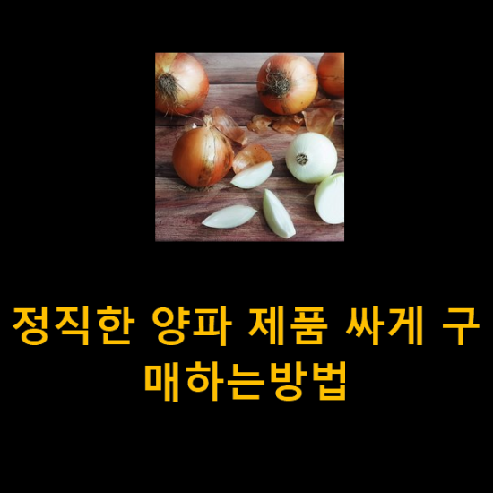 정직한 양파 제품 싸게 구매하는방법