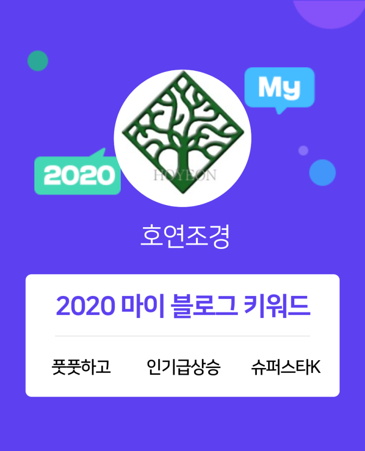  [2020 마이블로그 리포트] 한 눈에 보는 올해 내 블로그 데이터!