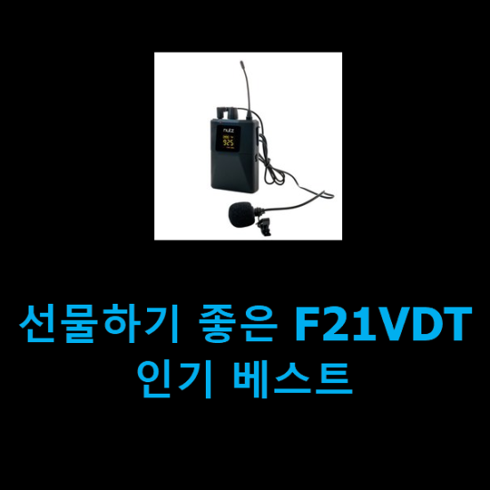  선물하기 좋은 F21VDT 인기 베스트