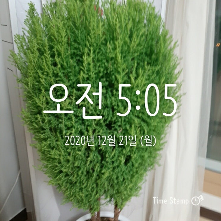  새벽 기상 12-21
