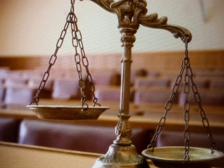  시어머니의 폭언과 폭행으로 남편 살인미수죄로 기소된 베트남 국적 아내에게 유기징역이 아닌 집행유예, 형사변호사