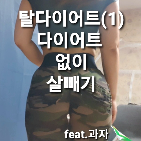  탈다이어트/ 다이어트 식단 없이 일반식 먹으면서 살빼기/ 운동 없이 살 빼기
