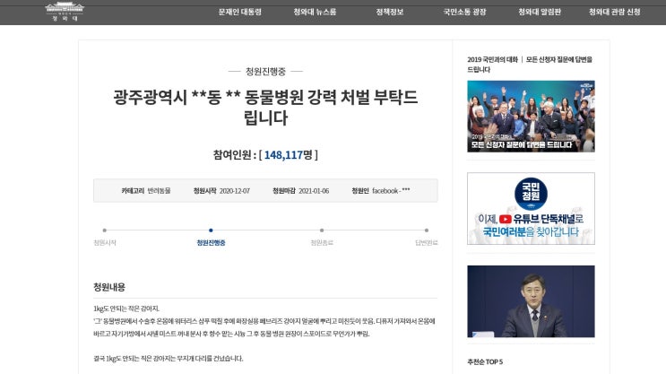  수술받은 강아지에게 탈취제?