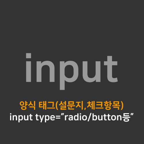 [Html/CSS] input type (input, input type에서 자주 쓰는 속성)