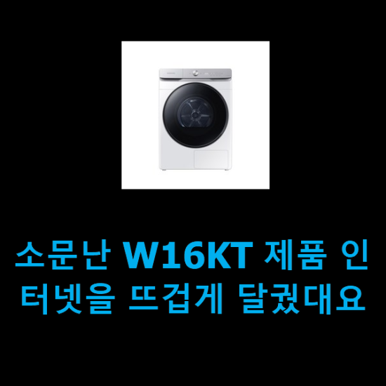  소문난 W16KT 제품 인터넷을 뜨겁게 달궜대요
