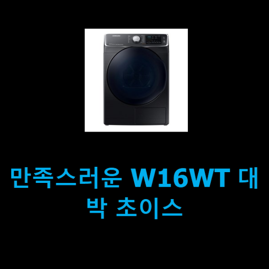  만족스러운 W16WT 대박 초이스