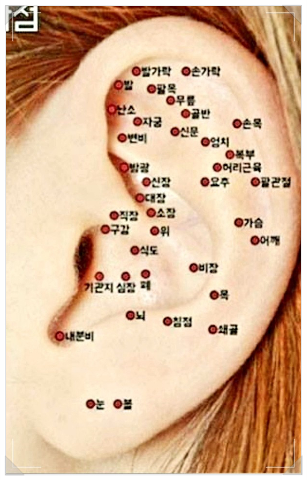  귀 혈점, 귀혈자리 자극, 귀혈패치 효과있을까?