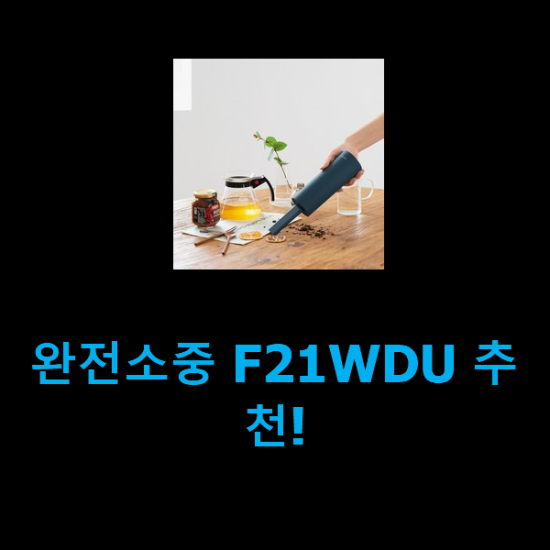  완전소중 F21WDU 추천!