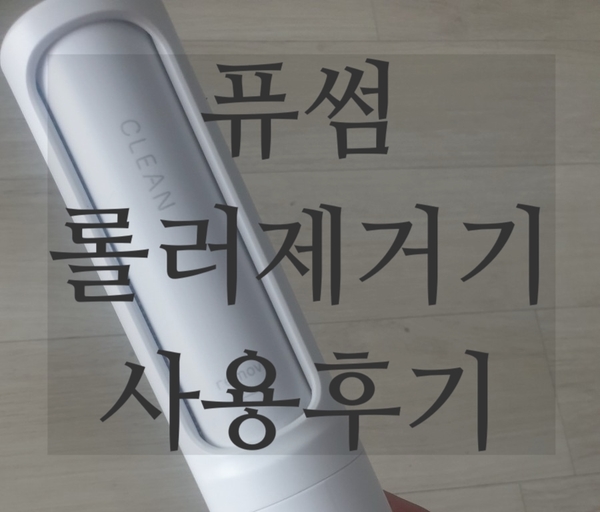  퓨썸 롤러제거기, 보풀제거기 사용 후기