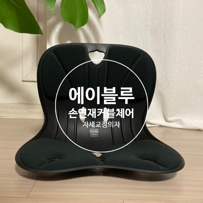 손연재 커블체어 와이더 자세 교정 의자 한 달 사용 솔직후기 손연재 커블체어 와이더 자세 교정 의자 한 달 사용 솔직후기