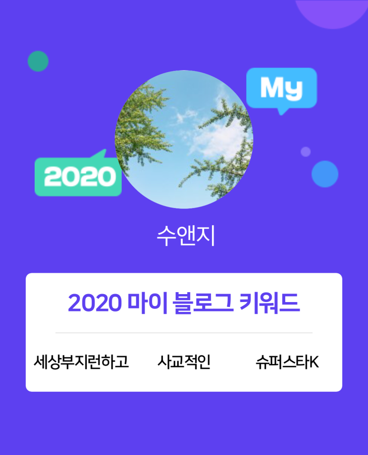  [2020 마이블로그 리포트] 한 눈에 보는 올해 내 블로그 데이터!