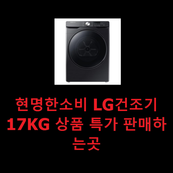  현명한소비 LG건조기17KG 상품 특가 판매하는곳