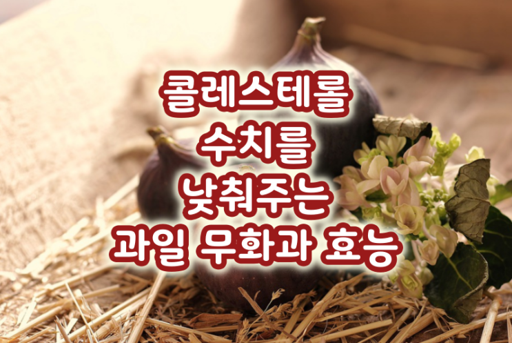  콜레스테롤 수치를 낮춰주는 과일 무화과 효능