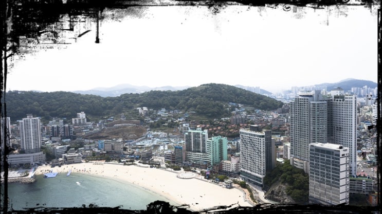  나는 당신이 작은 땅이라도 가졌으면 좋겠다