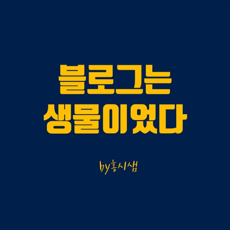  블로거 80일 일방문자 천명 -블로그는 생물이었다