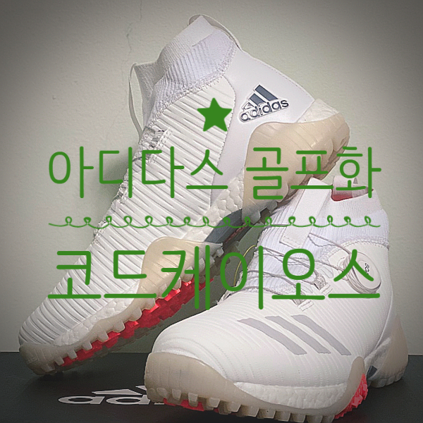  아디다스 골프화 코드케이오스 보아 EE9106 구매 후기 사이즈 참조 CODECHAOS