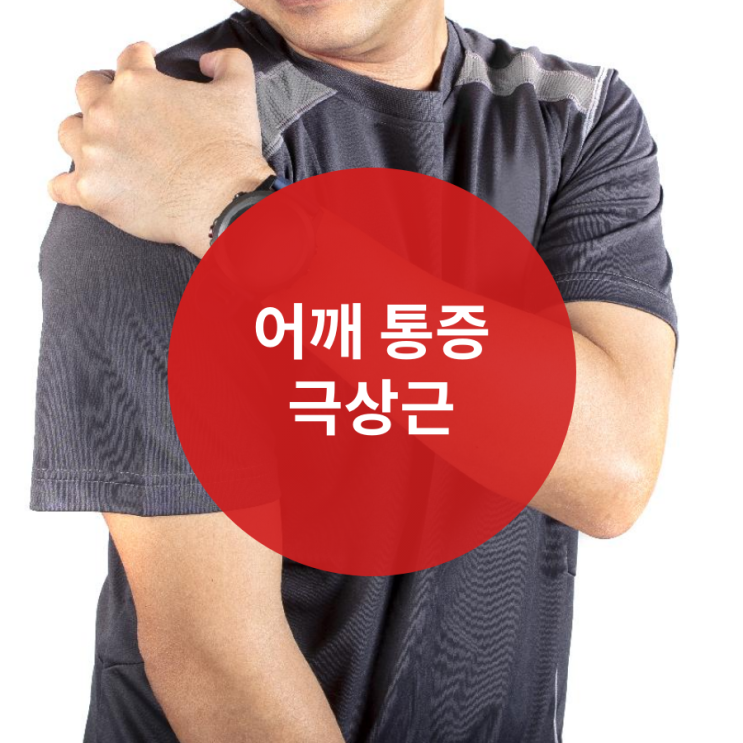  팔 옆으로 들 때 어깨 통증 극상근 확인 (회전근개 part1)