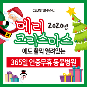  2020년 크리스마스 정상진료 안내 (부산 수영구 남구 연제구 일요일 공휴일 동물병원)