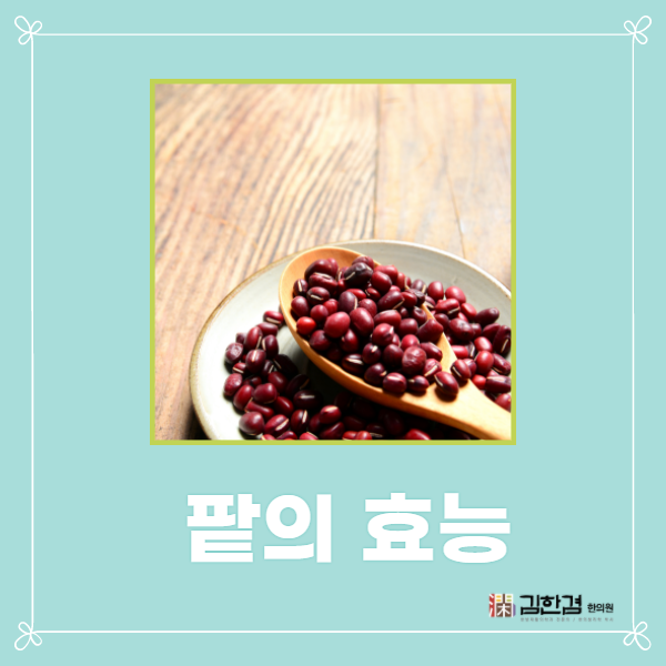  노폐물 제거에 도움이 되는 음식 '팥'의 효능 - 활성산소 제거에도 효과적