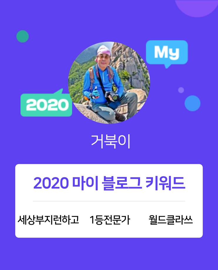 [2020 마이블로그 리포트] 한 눈에 보는 올해 내 블로그 데이터!