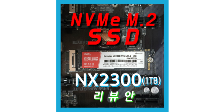 NVMe M.2 SSD - 리뷰안 : NX2300(1TB)
