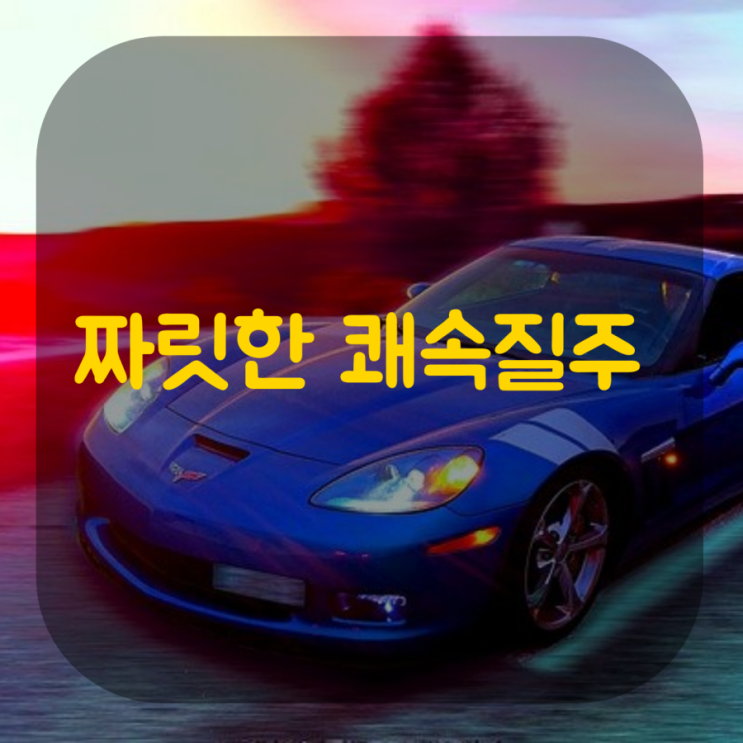  한번보면 빠져나오기 힘든 짜릿한 쾌속질주 영상모음