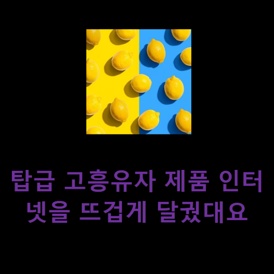 탑급 고흥유자 제품 인터넷을 뜨겁게 달궜대요 탑급 고흥유자 제품 인터넷을 뜨겁게 달궜대요