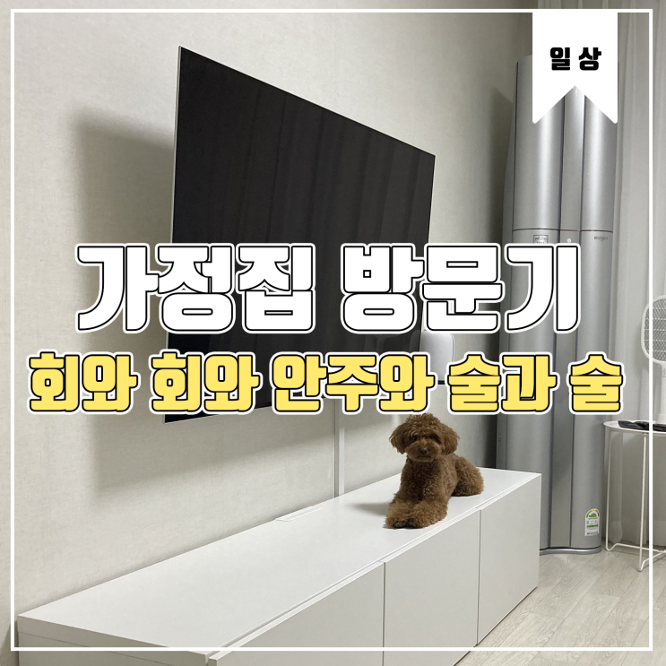 [일상] 가정집 방문기 2탄 Feat.회와 회와 술과 안주