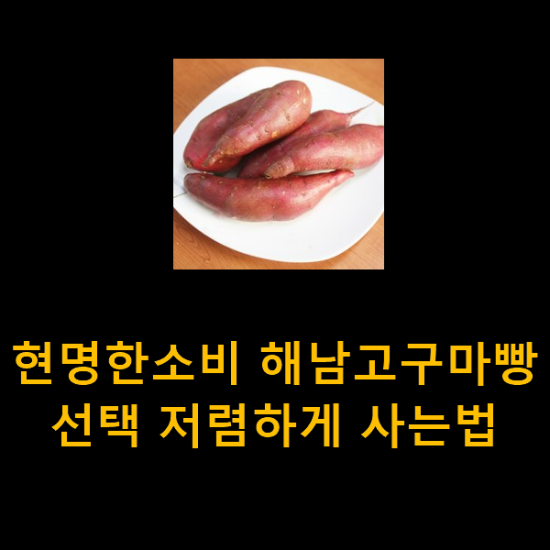 현명한소비 해남고구마빵 선택 저렴하게 사는법