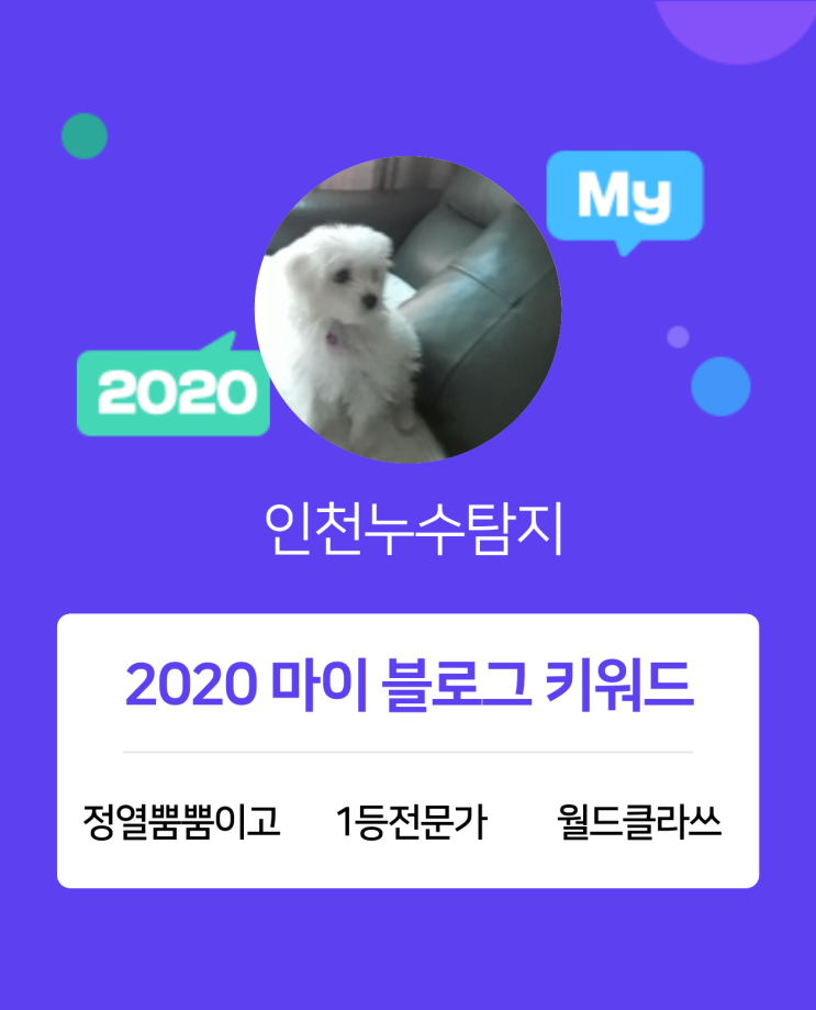  [2020 마이블로그 리포트] 한 눈에 보는 올해 내 블로그 데이터!