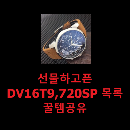  선물하고픈 DV16T9,720SP 목록 꿀템공유
