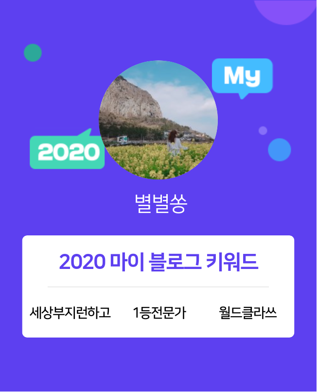  [2020 마이블로그 리포트] 한 눈에 보는 올해 내 블로그 데이터!