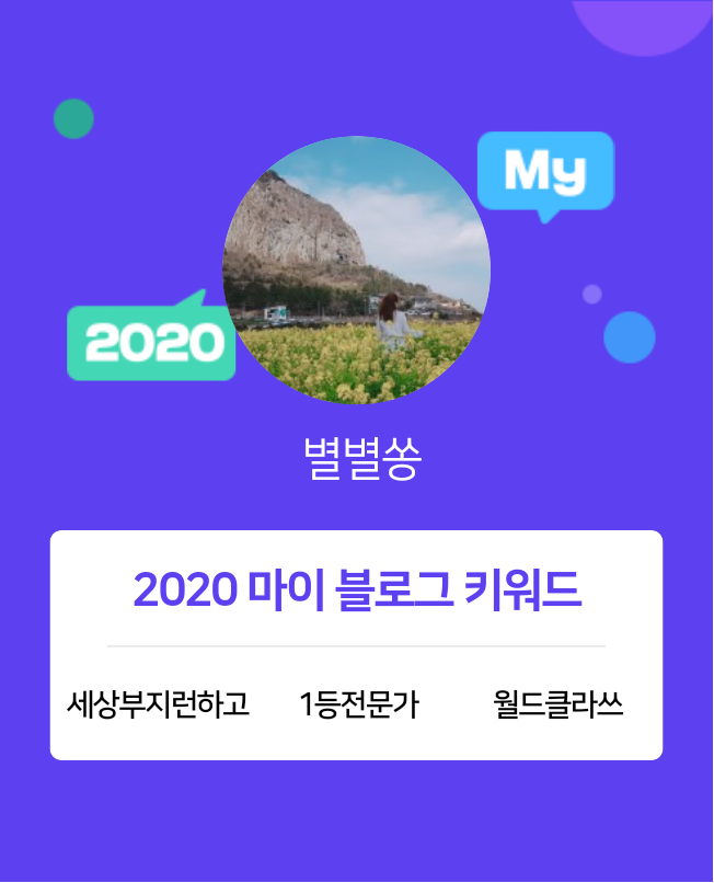 [2020 마이블로그 리포트] 한 눈에 보는 올해 내 블로그 데이터!