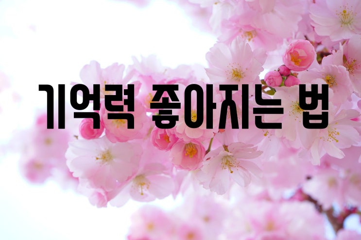  기억력 좋아지는 법 -엄마와 아빠의 시간이 멈췄다-