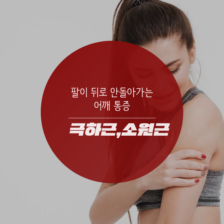  팔이 뒤로 안 돌아가는 어깨 통증 극하근 소원근(회전근개 part2)