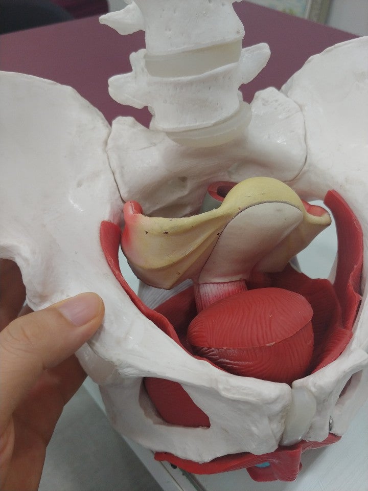 관계 후 부음과 통증, 따가움 때론 허리와 엉덩이 근육통 : 네이버 블로그 관계 후 부음과 통증, 따가움 때론 허리와 엉덩이 근육통 : 네이버 블로그