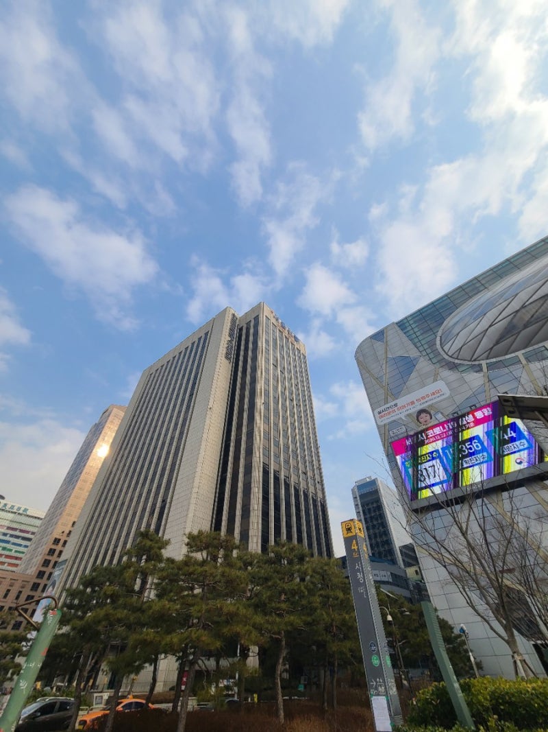 서울시청 맛집] 시청역 4번출구 프레스클럽, 19층 양식 한식 중식 : 네이버 블로그, image size:800x1067